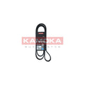 Curea transmisie caneluri KAMOKA 7016154