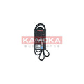 Curea transmisie caneluri KAMOKA 7016183