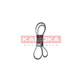 Curea transmisie caneluri KAMOKA 7016185