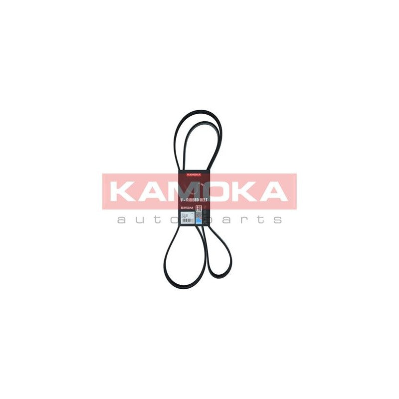Curea transmisie caneluri KAMOKA 7016185