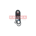 Curea transmisie caneluri KAMOKA 7016187