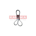 Curea transmisie caneluri KAMOKA 7016188