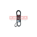 Curea transmisie caneluri KAMOKA 7016195