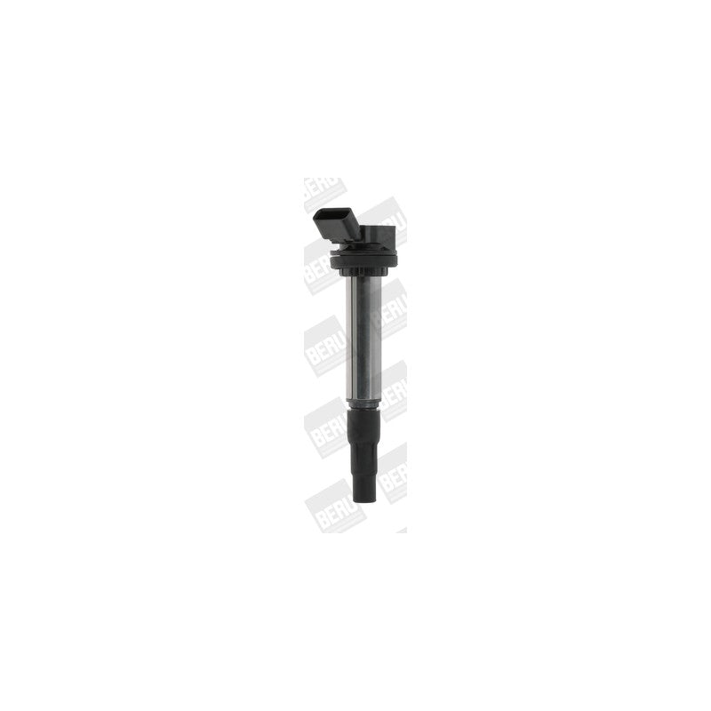 Bobina inductie BorgWarner (BERU) ZSE184