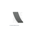 Curea transmisie caneluri BLUE PRINT AD06R2605