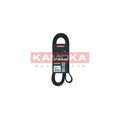 Curea transmisie caneluri KAMOKA 7016204
