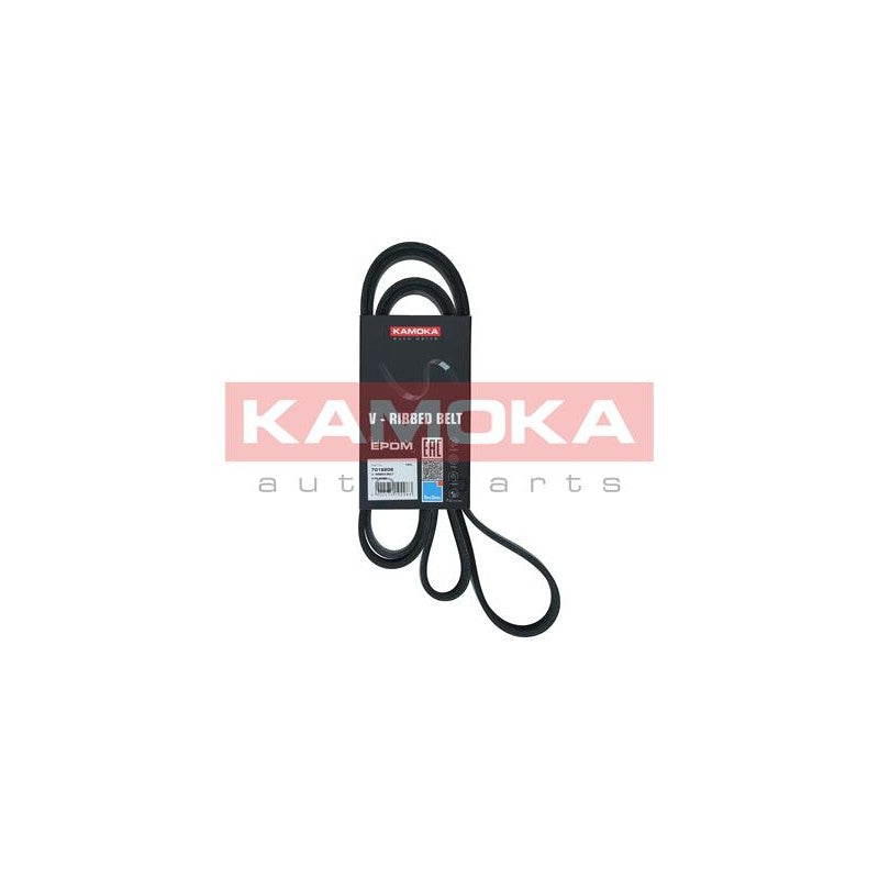 Curea transmisie caneluri KAMOKA 7016206