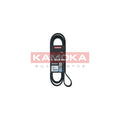 Curea transmisie caneluri KAMOKA 7016224