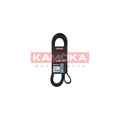 Curea transmisie caneluri KAMOKA 7016227