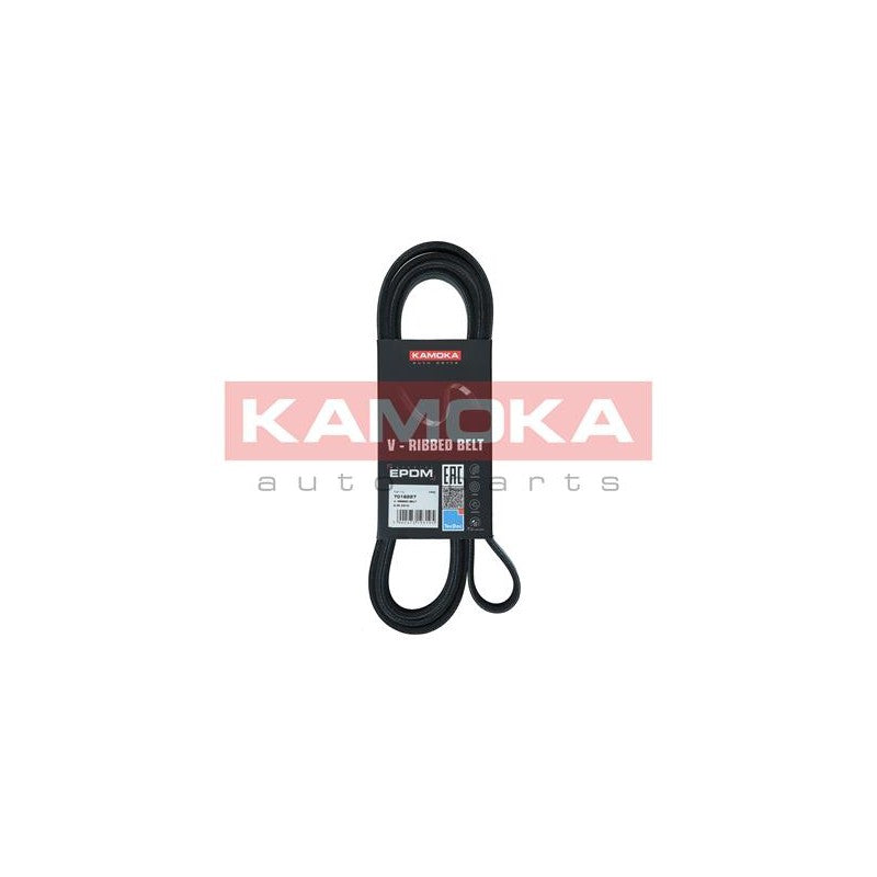 Curea transmisie caneluri KAMOKA 7016227