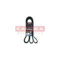 Curea transmisie caneluri KAMOKA 7016231