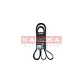 Curea transmisie caneluri KAMOKA 7016241