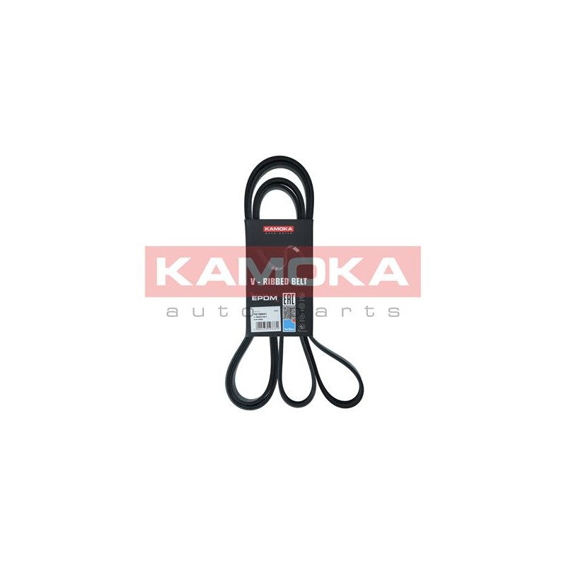 Curea transmisie caneluri KAMOKA 7016241