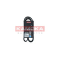 Curea transmisie caneluri KAMOKA 7017013