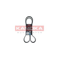 Curea transmisie caneluri KAMOKA 7017015