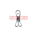 Curea transmisie caneluri KAMOKA 7017025