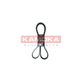 Curea transmisie caneluri KAMOKA 7017049