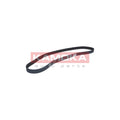 Curea distributie KAMOKA 7000105