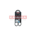 Curea transmisie caneluri KAMOKA 7013018