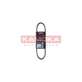 Curea transmisie caneluri KAMOKA 7015003