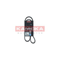 Curea transmisie caneluri KAMOKA 7015029