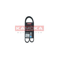 Curea transmisie caneluri KAMOKA 7016036