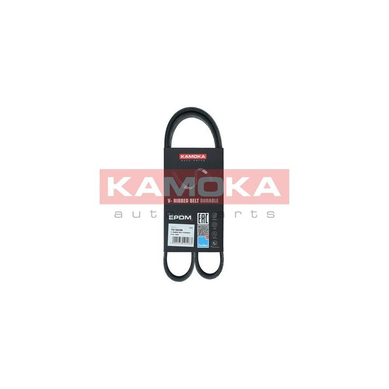 Curea transmisie caneluri KAMOKA 7016036