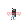 Curea transmisie caneluri KAMOKA 7016039
