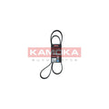 Curea transmisie caneluri KAMOKA 7016125