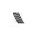 Curea transmisie caneluri BLUE PRINT AD07R2672