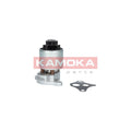 Supapa EGR KAMOKA 19003