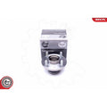Kit rulment roata ESEN SKV 29SKV296