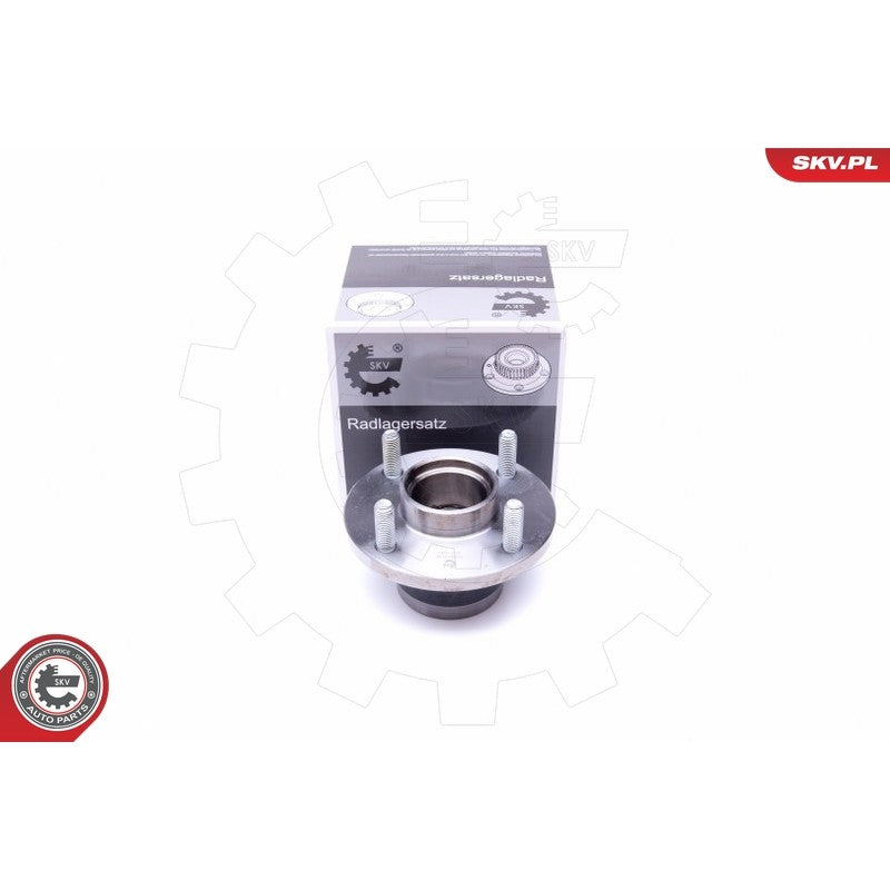 Kit rulment roata ESEN SKV 29SKV296
