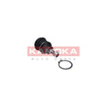 Pivot KAMOKA 9040196