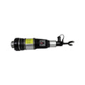 Amortizor pneumatic AIC 71041