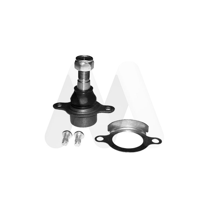 Pivot MOTAQUIP LVSJ1171