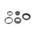Kit rulment roata AIC 57653