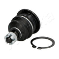 Pivot Ashika 73-04-422