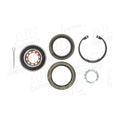 Kit rulment roata AIC 72889