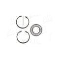 Kit rulment roata AIC 73063
