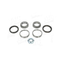 Kit rulment roata AIC 73067