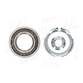 Kit rulment roata AIC 73104