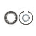 Kit rulment roata AIC 73119