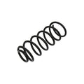 Arc elicoidal MTR 12108673