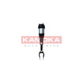 Amortizor pneumatic KAMOKA 2070002