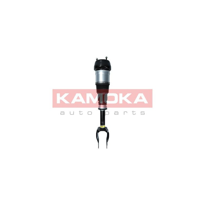 Amortizor pneumatic KAMOKA 2070002