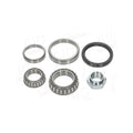 Kit rulment roata AIC 73296