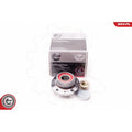 Kit rulment roata ESEN SKV 29SKV001