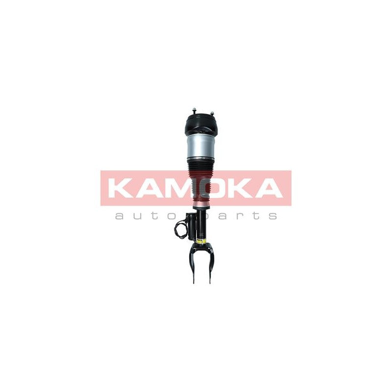 Amortizor pneumatic KAMOKA 2070003