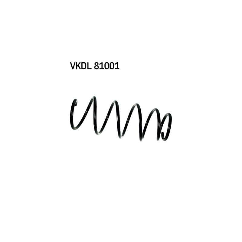 Arc suspensie SKF VKDL 81001